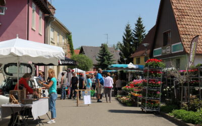 Au rendez-vous des amateurs de fleurs